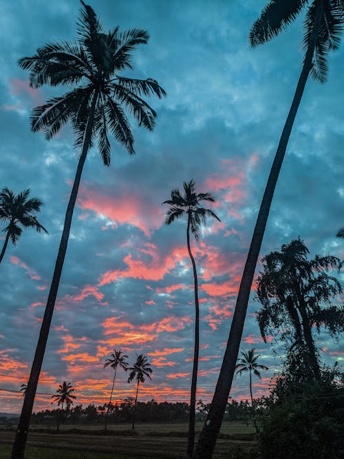 Fotos de stock gratuitas de amanecer, anochecer, azul