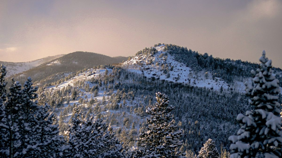 Best Free Samples in Colorado Springs, CO: 2026 Local Guide
