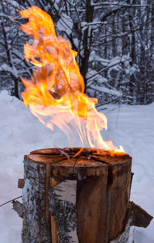 Free Základová fotografie zdarma na téma dřevo log, hoření, hořící Stock Photo
