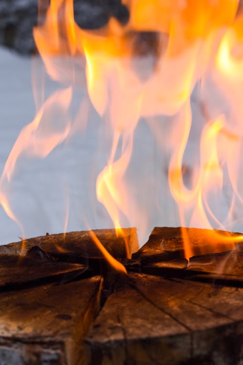 Free Close-Up Photo of Burning Wood Stock Photo