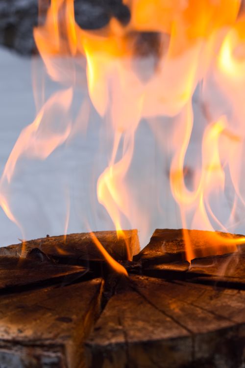 Close-Up Photo of Burning Wood · Free Stock Photo