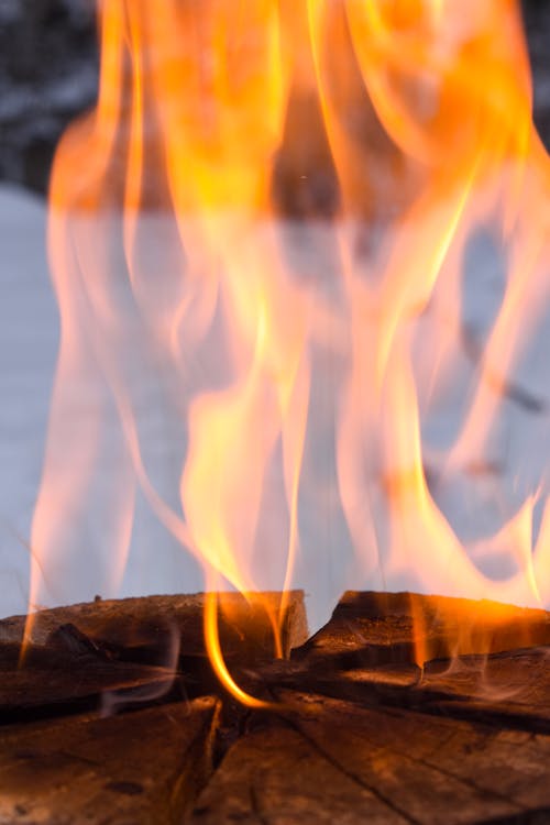 Close-Up Photo of Burning Wood