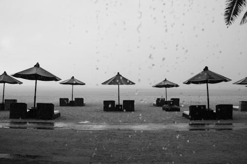 下雨, 休閒椅, 天氣 的 免費圖庫相片