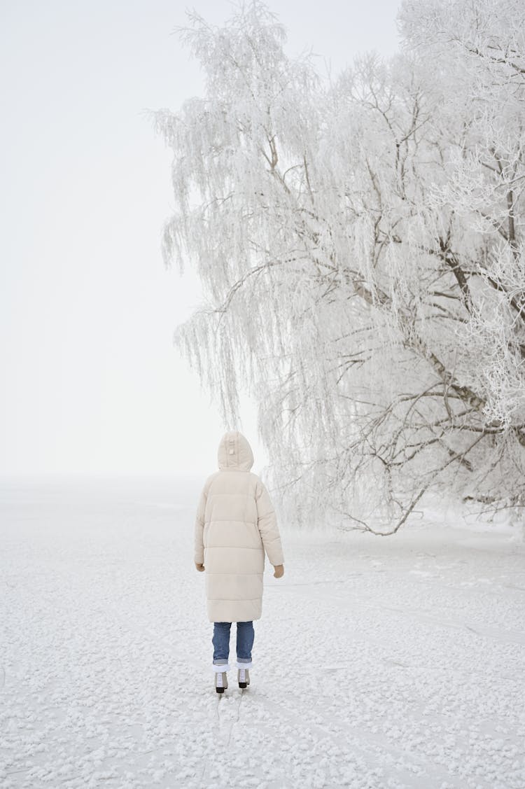 Back View Of A Woman On A Frozen Lake 