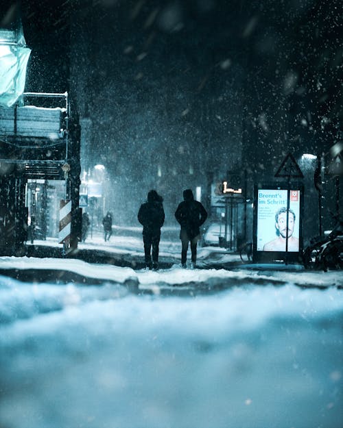 Foto profissional grátis de com frio, congelando, inverno