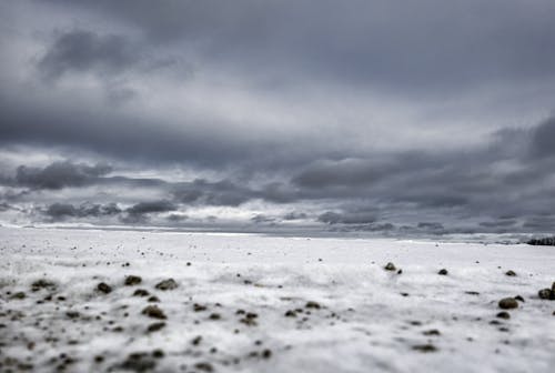 Gratis stockfoto met bevroren, bewolkte lucht, grondniveau schot