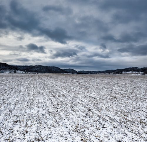 Gratis stockfoto met bevroren, bewolkte lucht, kou