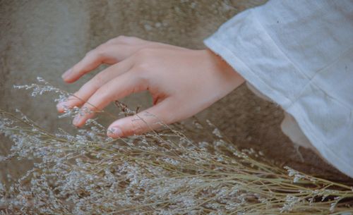 Free A close-up photo of a hand in a white sleeve gently brushing against delicate grass on a neutral background. Stock Photo