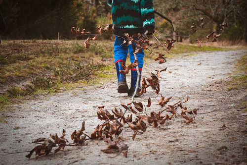 Free A child in blue boots and colorful jacket walking on a trail with dried leaves. Stock Photo