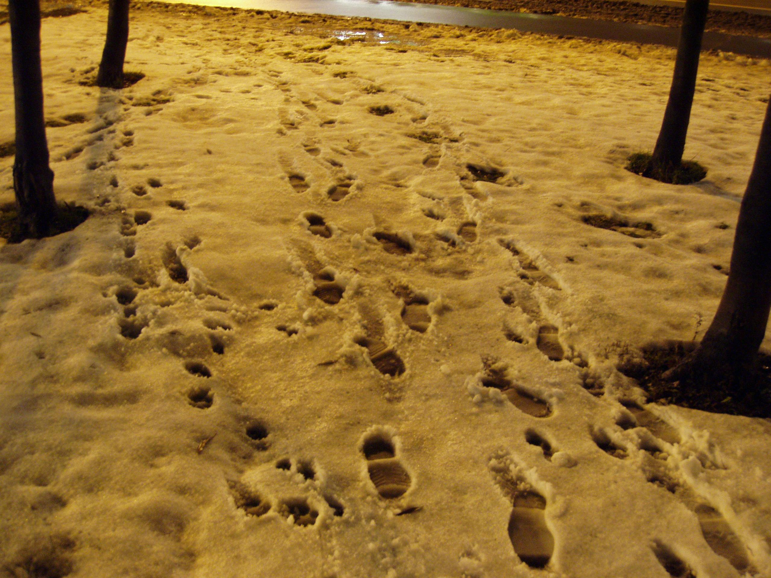 Free stock photo of dirty snow, footprints, footprints in slow