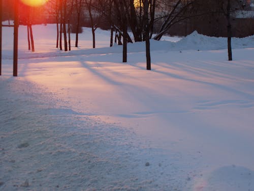 Fotobanka s bezplatnými fotkami na tému modrá, oranžová, sneh