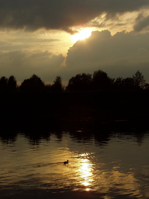 Fotobanka s bezplatnými fotkami na tému večer, voda, západ slnka