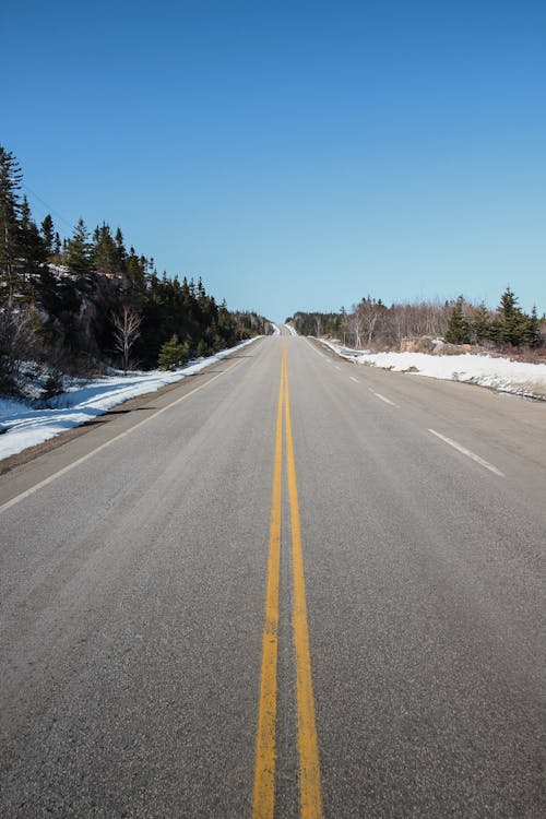 Gray Concrete Road Near Green Trees Under Blue Sky