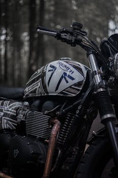 Artistic shot of a Triumph motorcycle with a custom design parked in a serene forest setting.