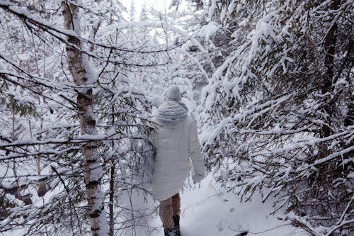 A Person in White Winter Jacket Walking Between Snow Covered Trees  