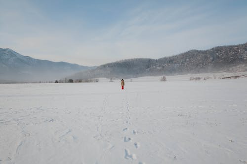 Free A Person in Brown Coat and Red Pants Walking on Snow Covered Field Stock Photo