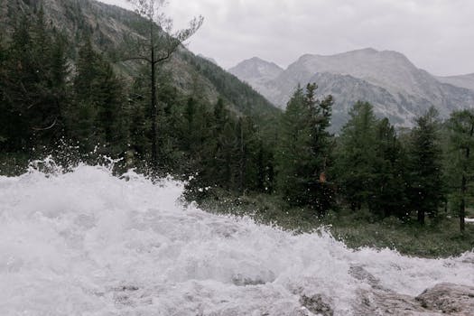 A serene mountain stream rushing through a coniferous forest under cloudy skies, framed by distant peaks.