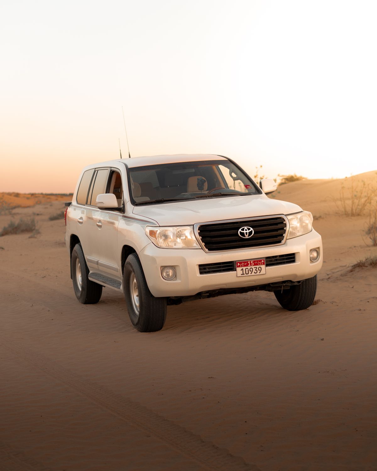 2019 Toyota Land Cruiser