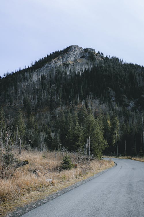 Gray Concrete Road Near the Mountain