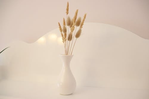 Dried Grass Flowers in White Ceramic Vase