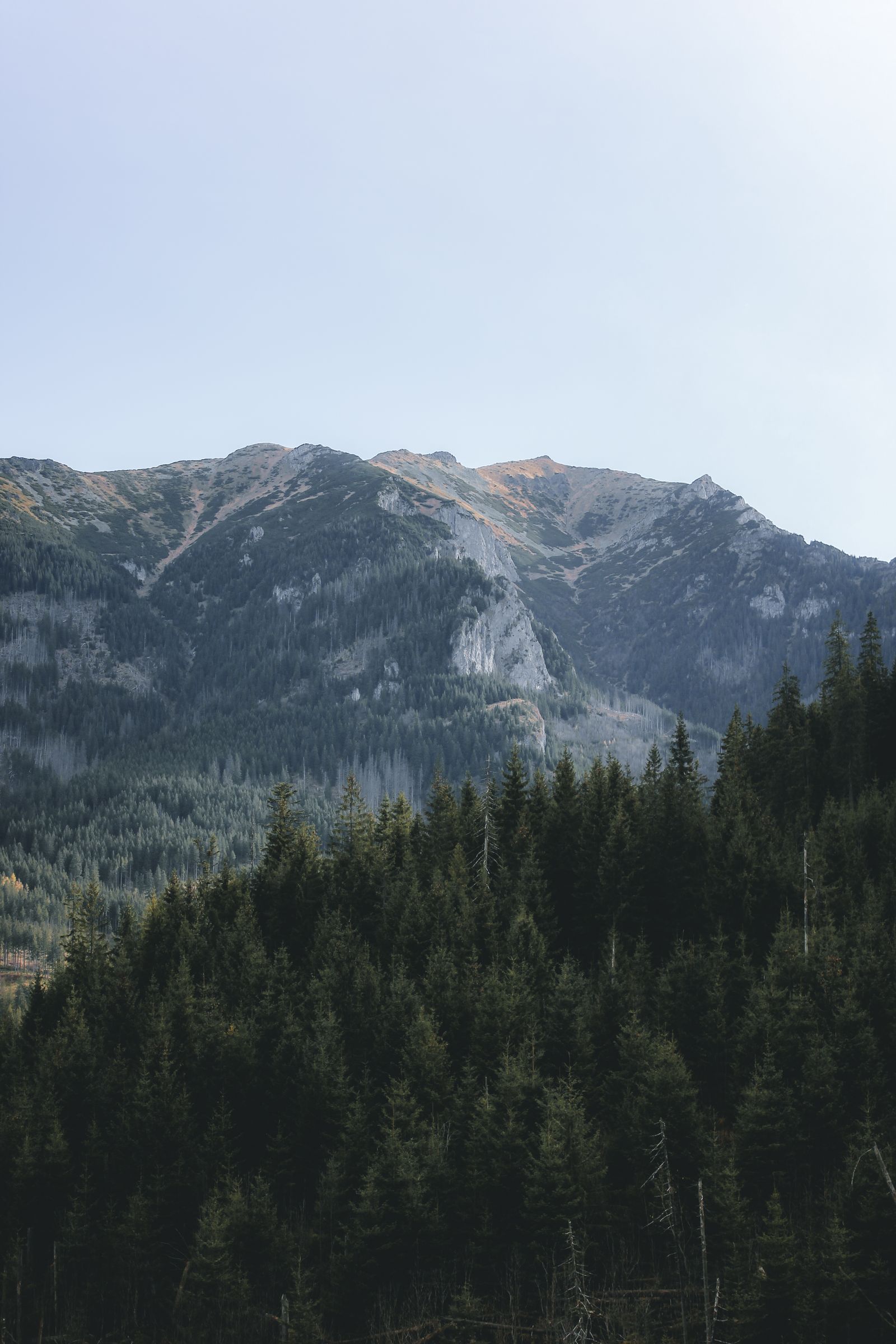 Forested hills in the distance
