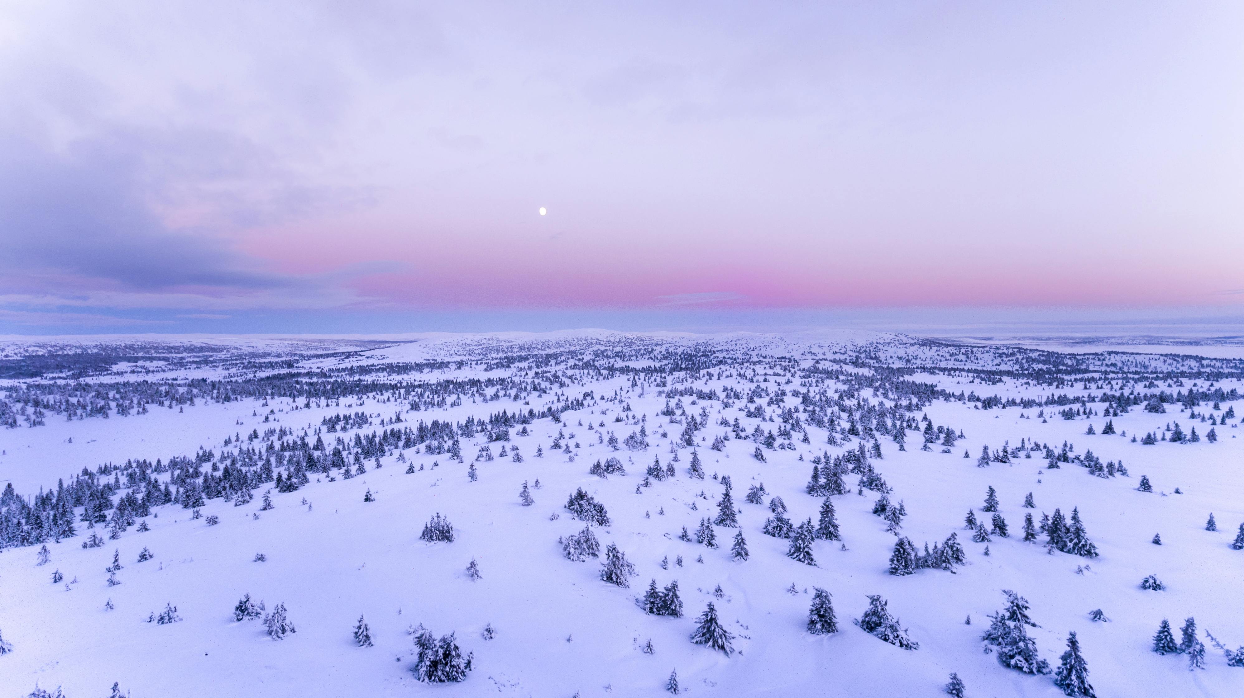 snow covered field