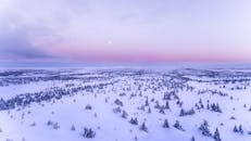 Snow Covered Field