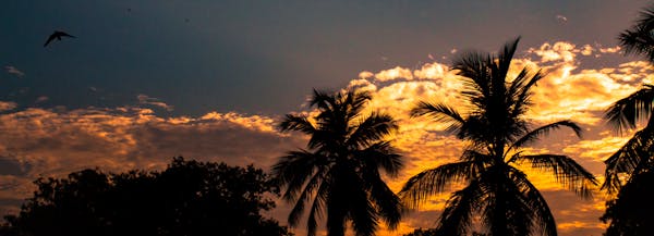 Best Bars in Norfolk | Top Norfolk Bars & Nightlife Guide