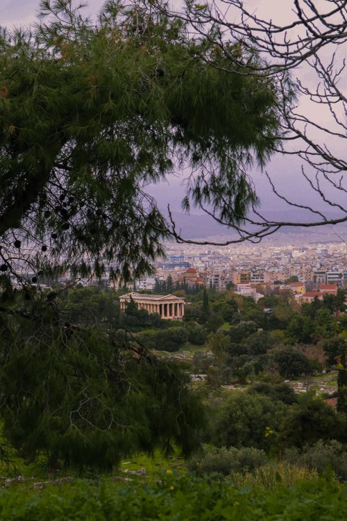 Free View of Athens with the Temple of Hephaestus framed by lush greenery. Stock Photo