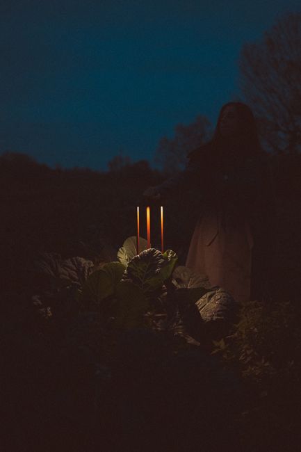 Whisper-Quiet operation for Peaceful Cooking Experiences