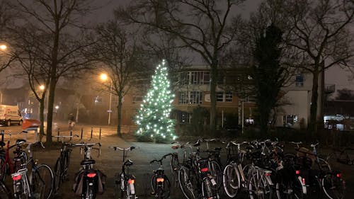 Free stock photo of christmas tree, city at night
