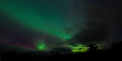 Free Breathtaking view of the aurora borealis lighting up a starry night sky with vibrant green hues. Stock Photo
