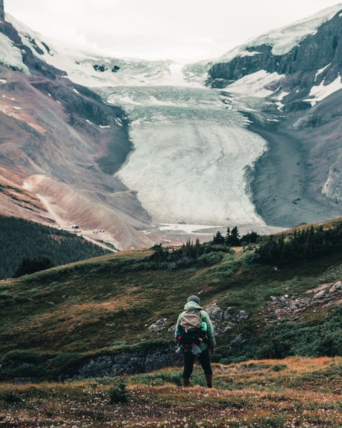 Free Backview of Backpacker standing on Green Grass Stock Photo