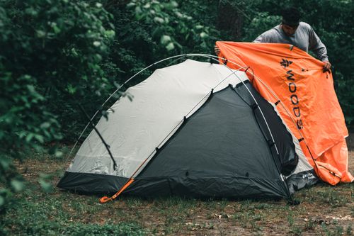 Free A man is setting up a tent in a wooded area, surrounded by lush greenery. Stock Photo