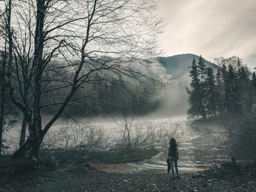 A Person Standing Beside the Lake