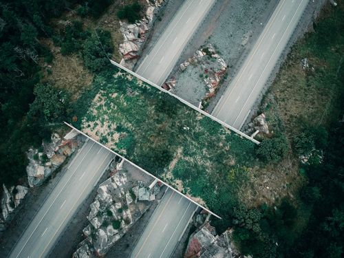 Free Aerial shot of an overgrown bridge crossing an empty countryside road. Stock Photo