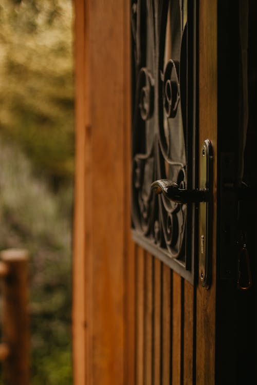 Black Metal Door Lever on Brown Wooden Door