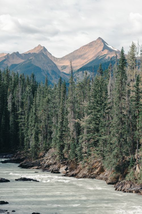Free Scenic view of a river flowing through green forest with rugged mountains in the background. Stock Photo