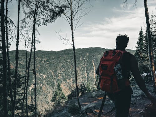 無料 ハイキング, バックパッカー, 人の無料の写真素材 写真素材
