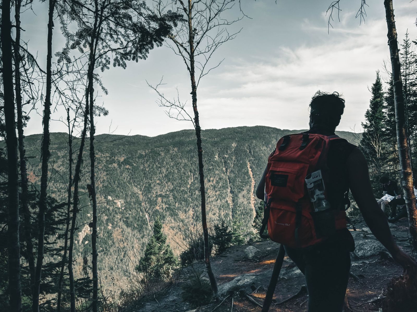 Hiker with a backpack on a forest trail with mountains beyond — photo by Ali Kazal on Pexels