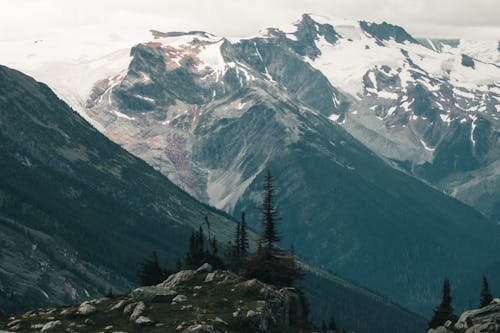 Trees on Slopes of Snow Covered Mountain