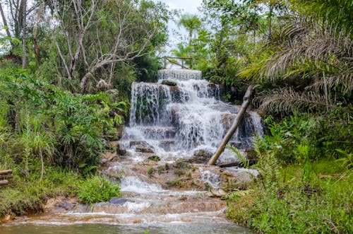 Waterfalls Near Green Trees