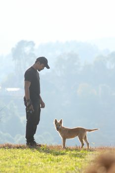 A man interacts with his dog in a quiet, sunlit grass field with a peaceful landscape backdrop.