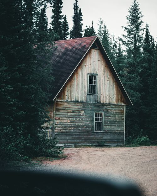 Free A rustic wooden cabin surrounded by coniferous trees in a Canadian forest setting. Stock Photo