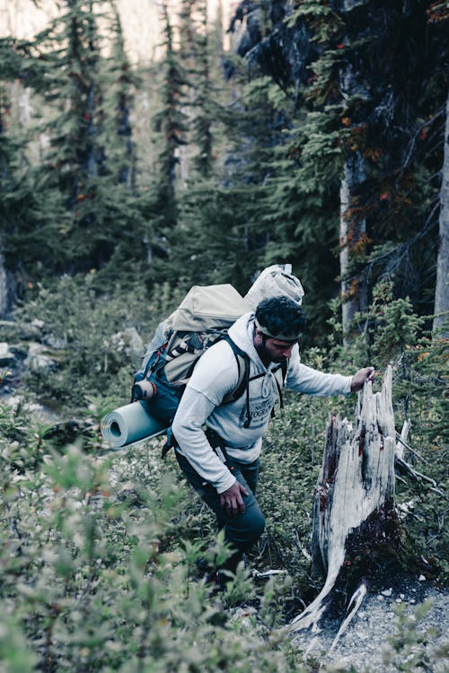 Free A Man in Gray Jacket Walking in the Forest Stock Photo