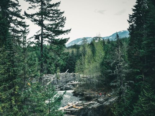 Free A serene forest landscape in Canada showcasing a flowing river with lush greenery and mountain backdrop. Stock Photo