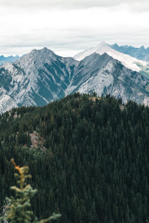 Free Stunning view of the Canadian Rockies with lush forest and rugged mountains under an overcast sky. Stock Photo