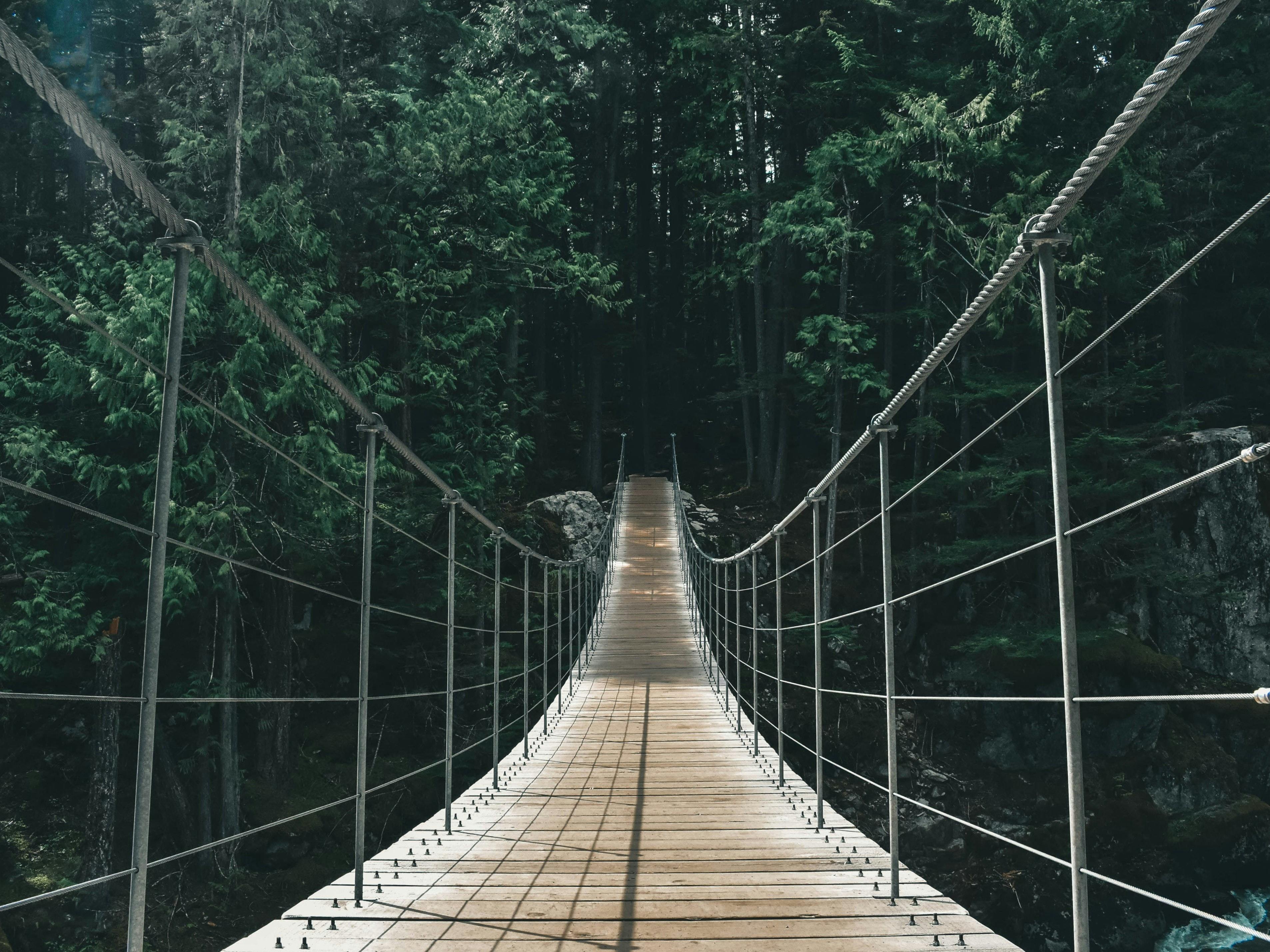 Brown Wooden Bridge in the Forest · Free Stock Photo