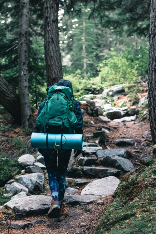 Free A hiker traverses a rocky forest trail in Canada, showcasing the essence of adventure and nature. Stock Photo