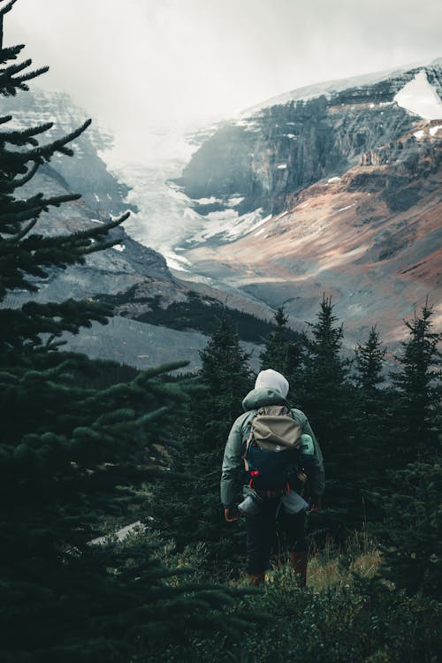 Man in Hoodie Wearing Backpack Walking Near Green Trees 